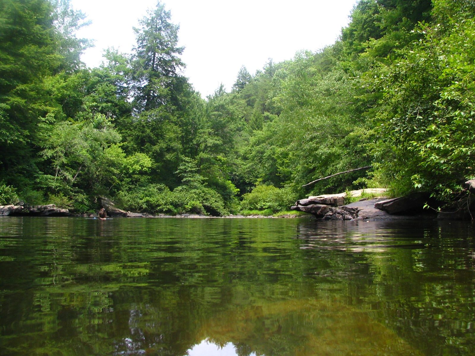 Blue Hole swimming hole upstream from Greeter Falls, South Cumberland State Park
