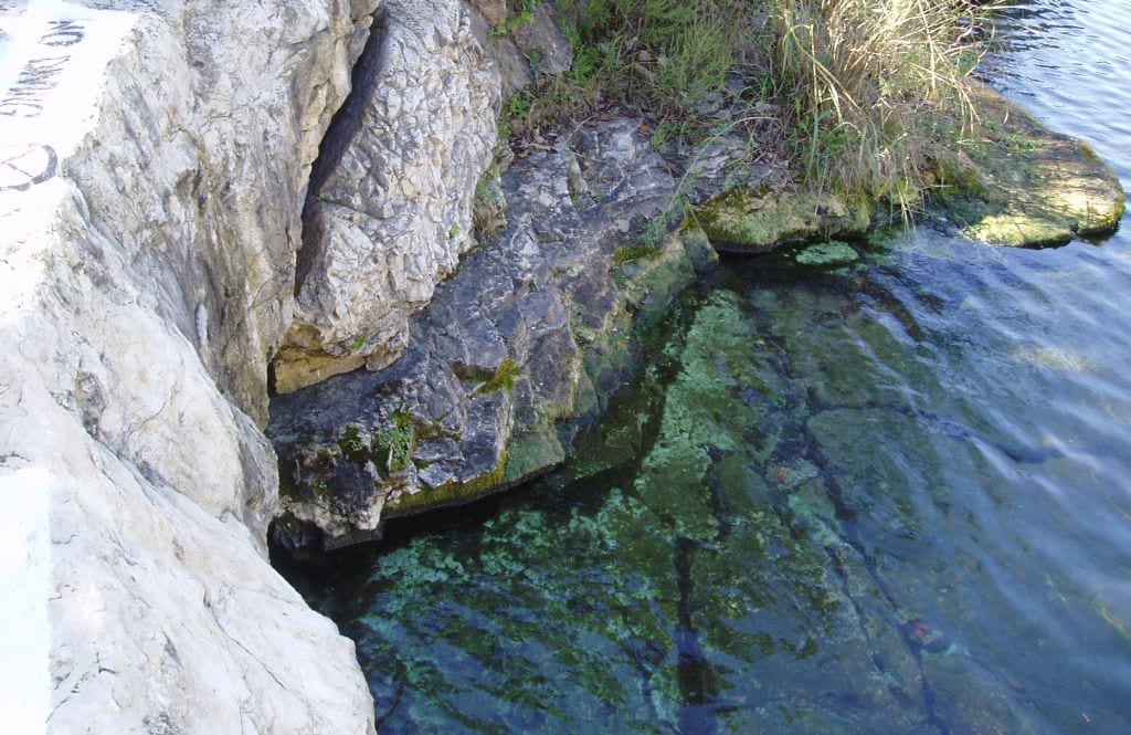Main Barton Spring in Austin, Texas