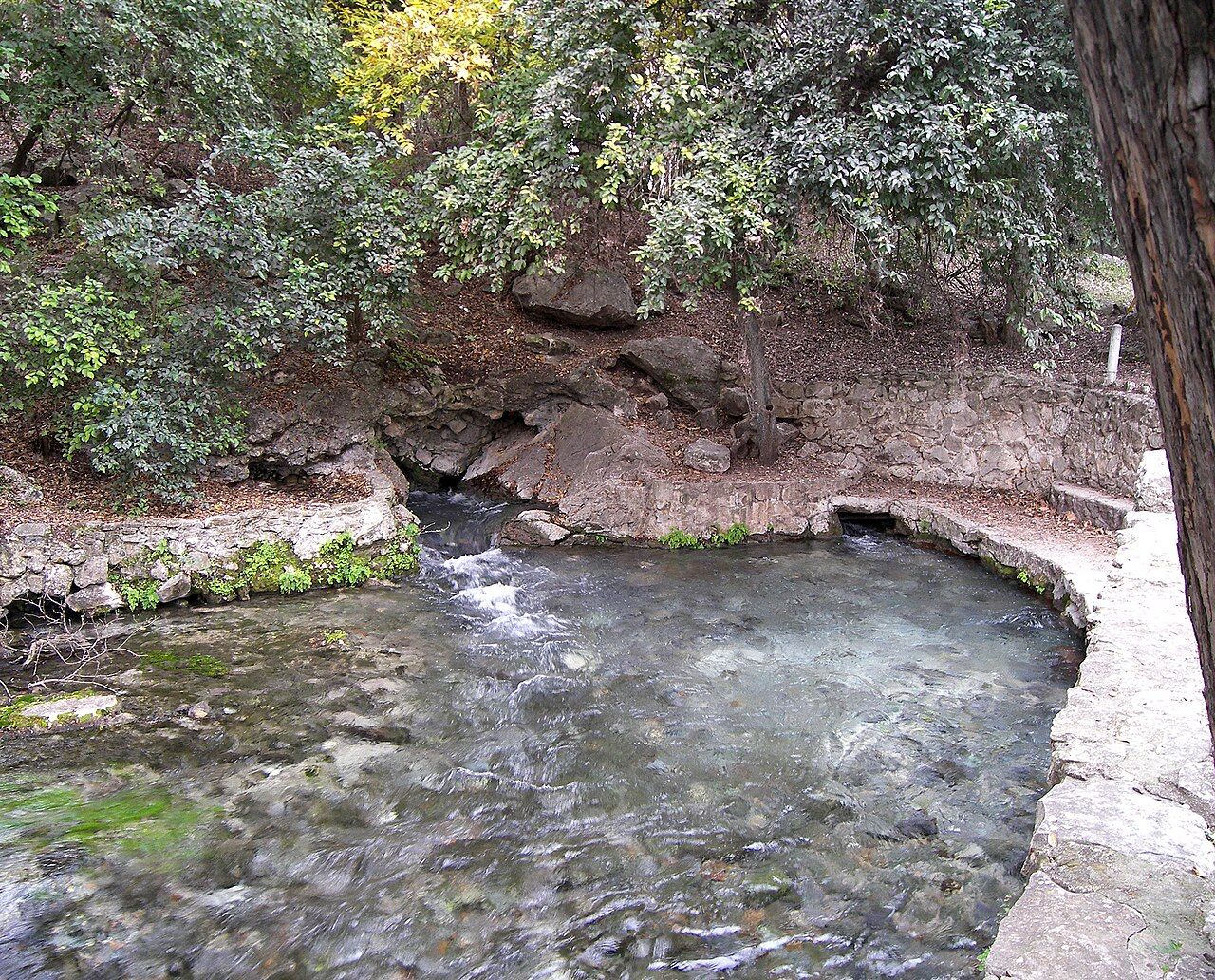 Comal Springs at Landa Park