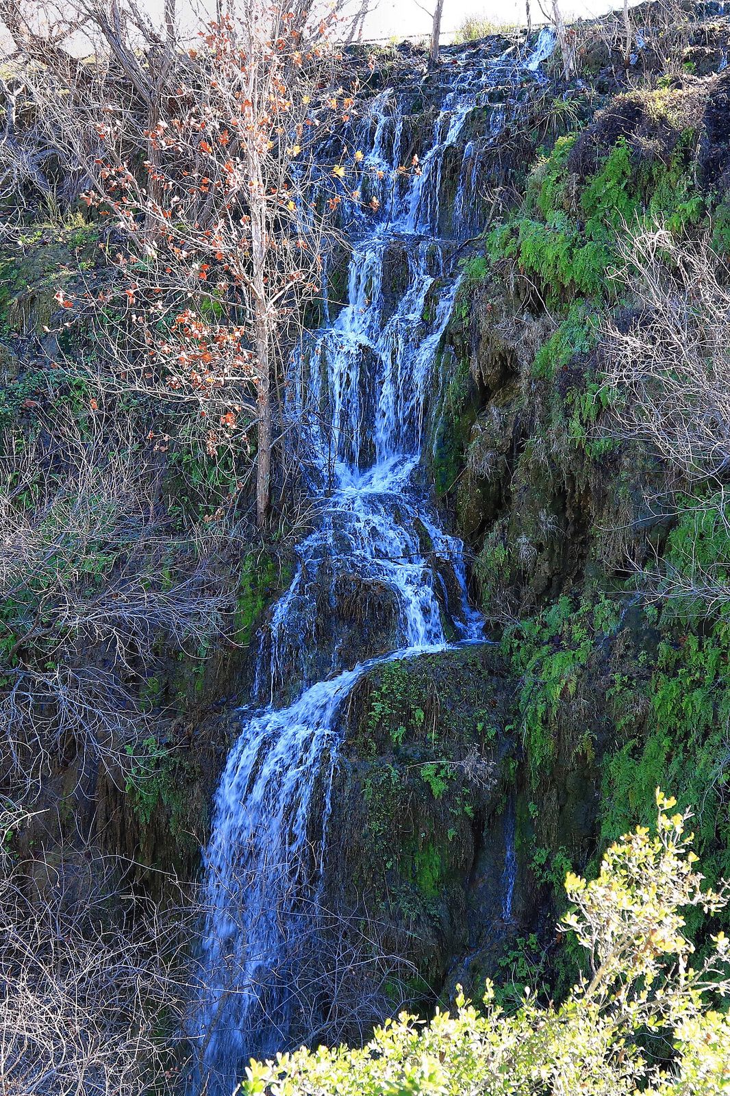 Gorman Falls at Colorado Bend State Park