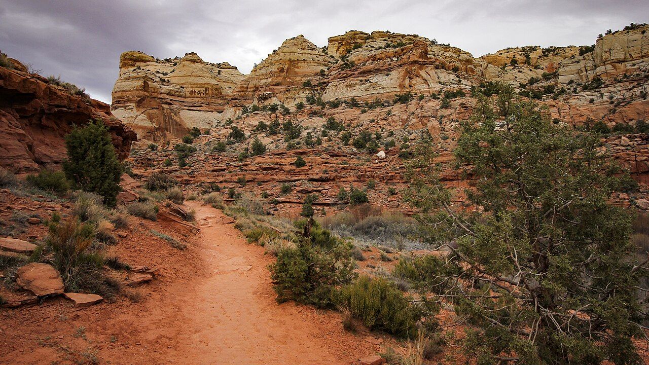 Trail toward Lower Calf Creek Falls