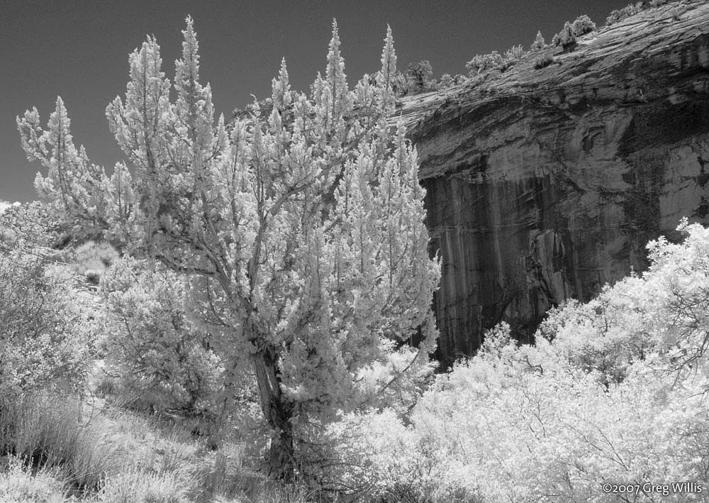 Upper Calf Creek Falls canyon and cascade