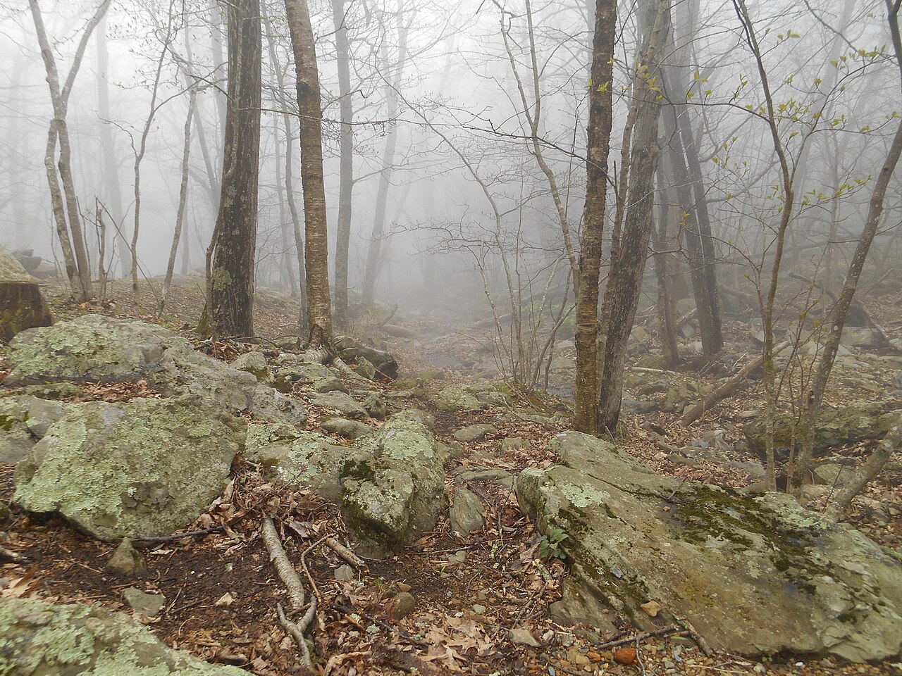 Trail to Dark Hollow Falls