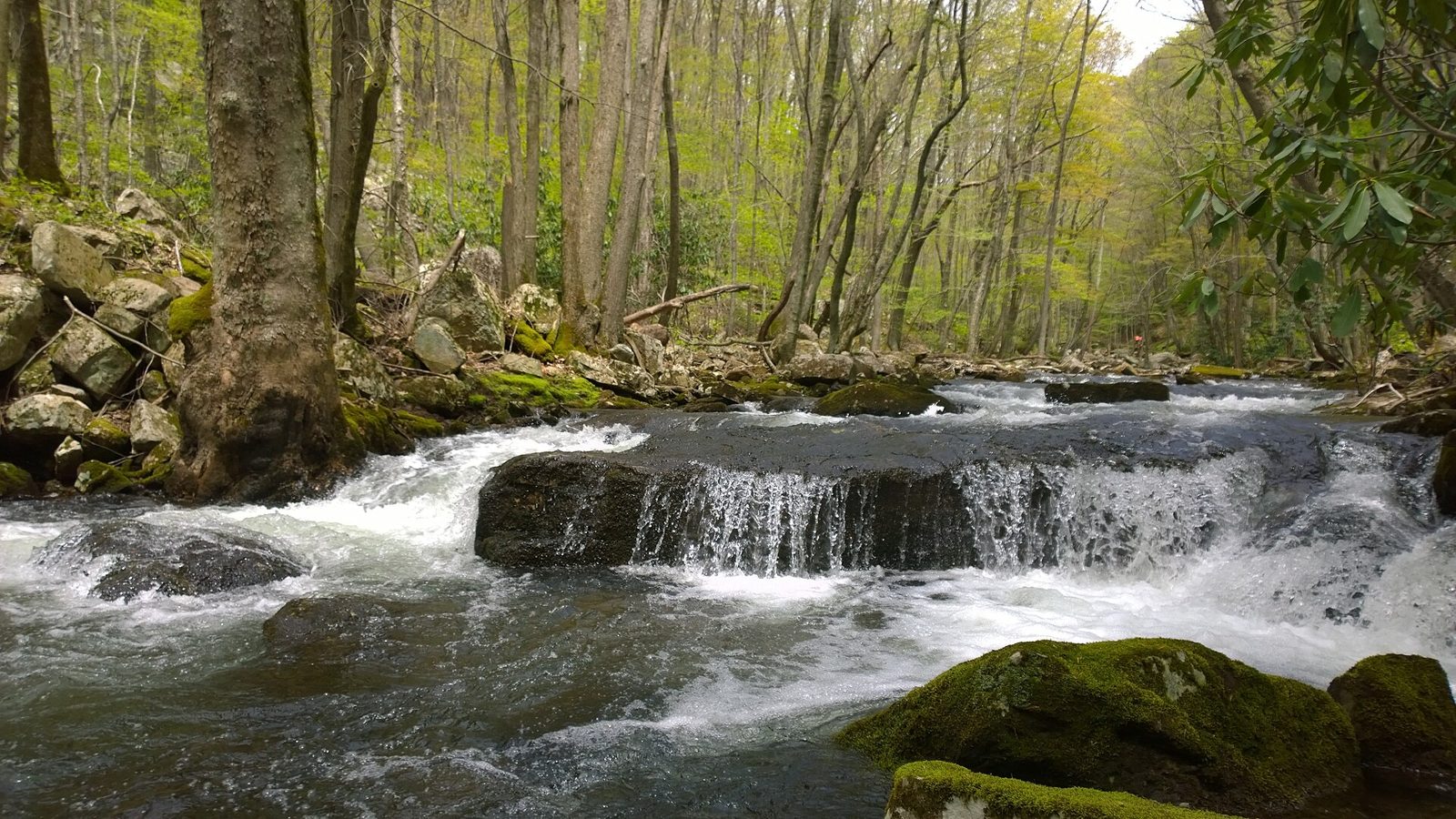 Falls along the hike trail to Cascade falls in Pembroke, VA.