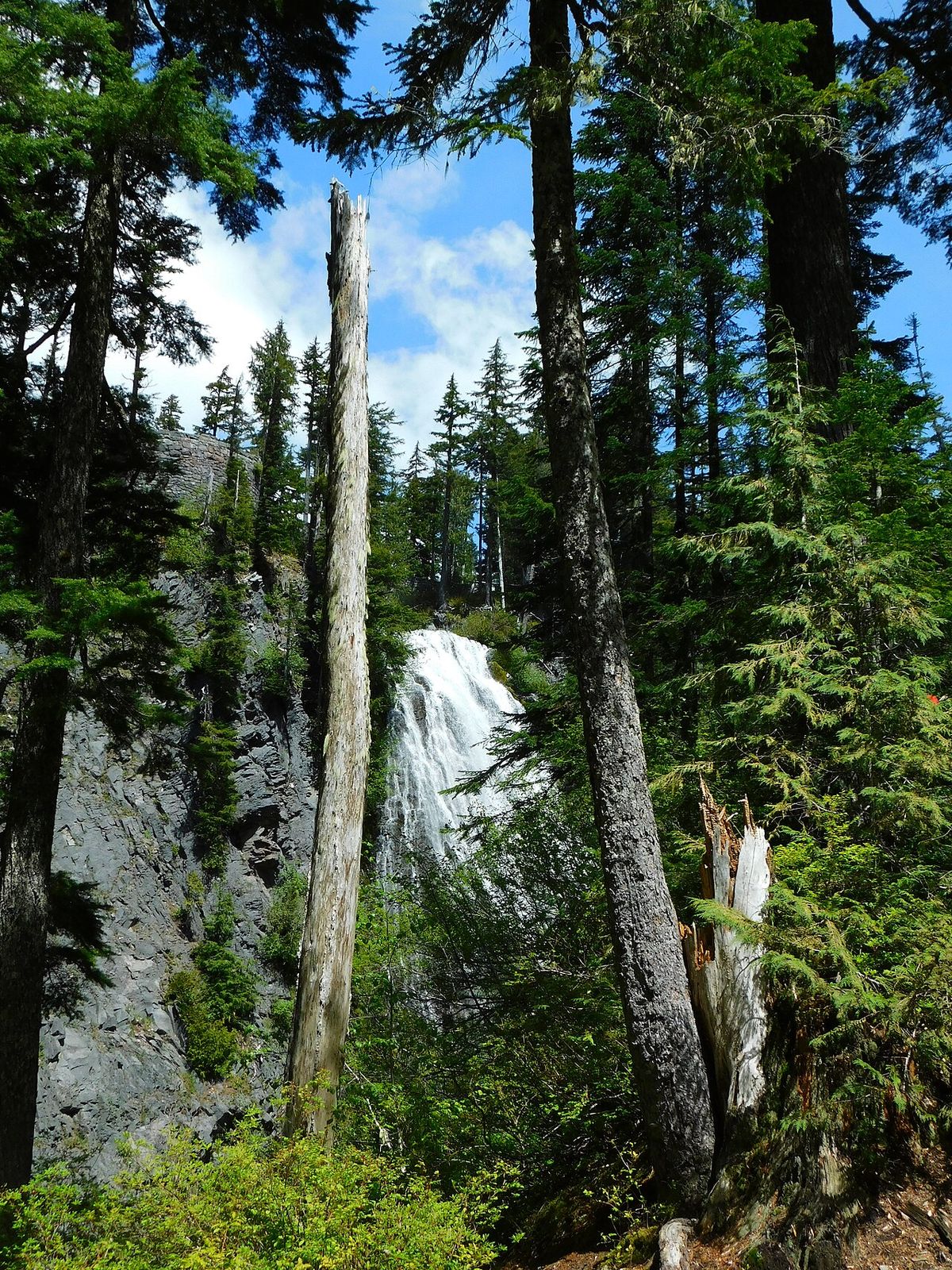 Narada Falls Mount Rainier