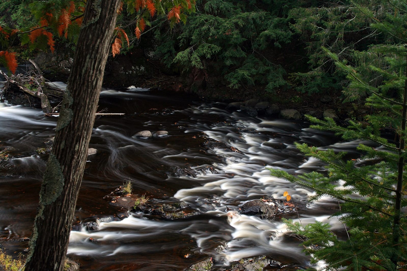 Photo by Bobbie Halchishak/USFWS.
