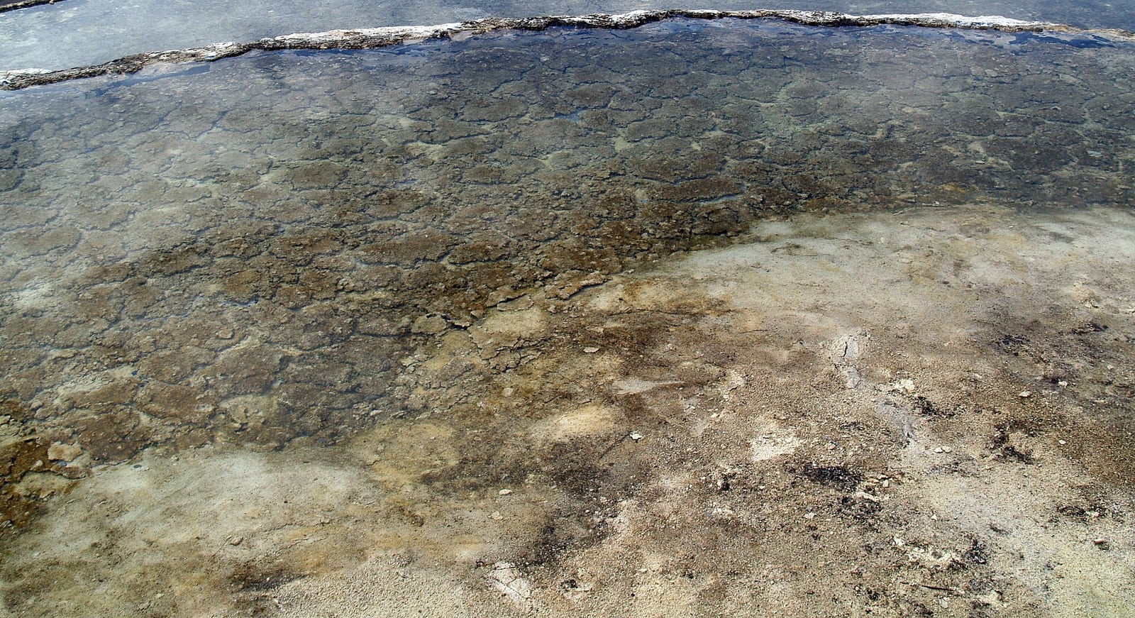 Hot spring pool in Hot Springs State Park, Thermopolis, Wyoming