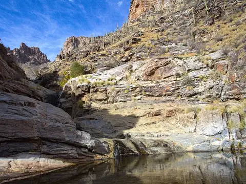 Bear Canyon, Santa Catalina Mountains.