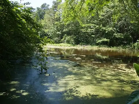 a pond at Trap Pond State Park