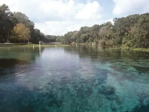 Alexander Springs in Florida