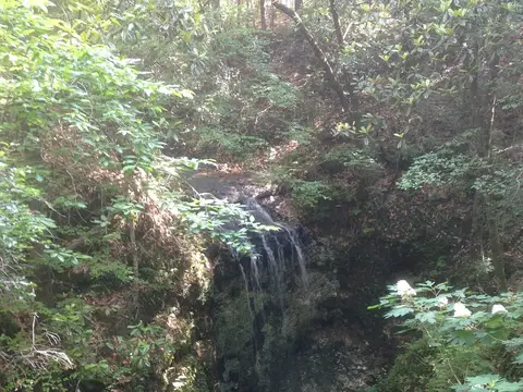 Waterfall at Falling Waters State Park, Florida