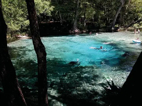 Ginnie Spring in Florida