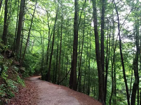 Photo credit: USFS/ Holly Krake