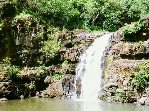 Waimea Falls Oahu