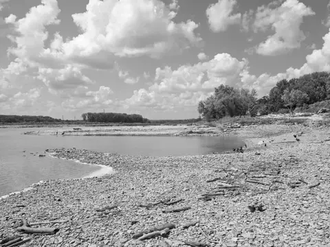 Photograph by the Public Lands Institute. Site: Falls of the Ohio State Park, Indiana. Managed by established 1990. Geological age: ~390 Mya Middle Devonian Jef