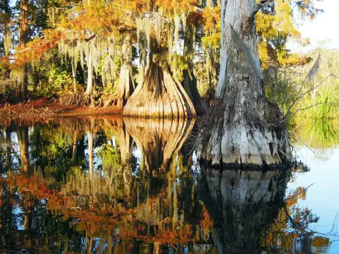 lake chicot