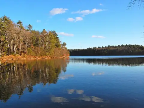 Walden.