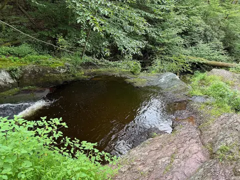 View south across Tillman Brook in Tillman Ravine Natural Area within Stokes State Forest in Walpack Township, Sussex County, New Jersey