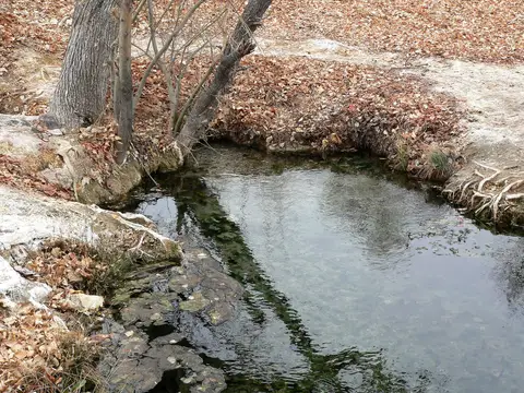 Spring-fed pool at Ash Springs, photographed in 2007, before the BLM closure