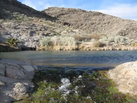 The spring-fed pool at Rogers Spring, Lake Mead National Recreation Area, 2011