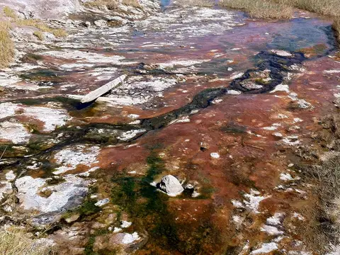 Alvord Hot Springs in Harney County, Oregon