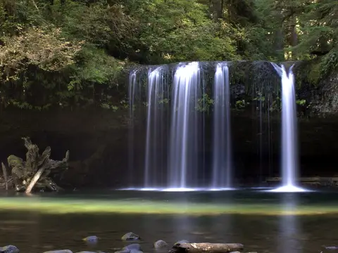 Butte Creek Falls in Oregon