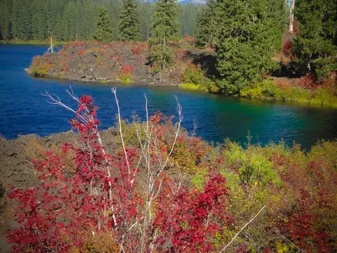 Fall color at Clear Lake, Willamette National Forest, Oregon