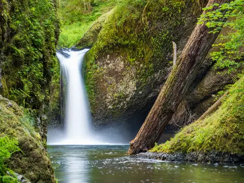 Punch Bowl Falls along Eagle Creek Trail, Oregon