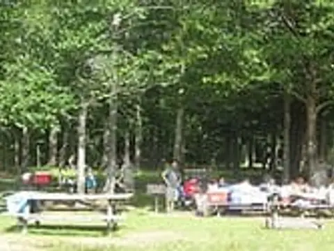 Panorama of Beach 2 on Lake Jean in Ricketts Glen State Park , Fairmount Township, Luzerne County, Pennsylvania, USA.