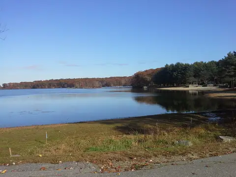 Lincoln Woods State Park in Rhode Island, USA.