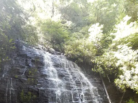 Spoonauger Falls is located off the Chattooga River Trail near Burrell's Ford Road.