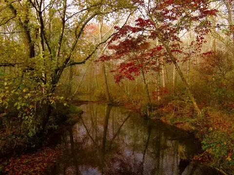 Abrams Creek, October 2013--Warren Bielenberg