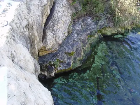 Main Barton Spring in Austin, Texas