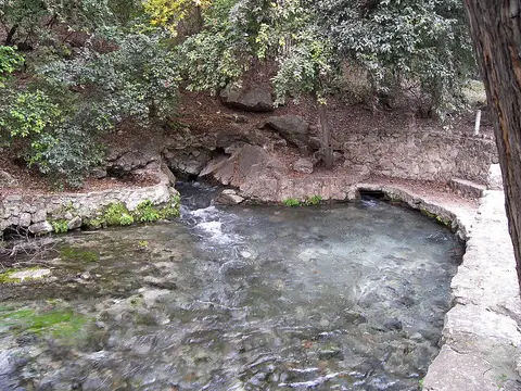 Comal Springs at Landa Park