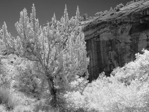 Upper Calf Creek Falls canyon and cascade