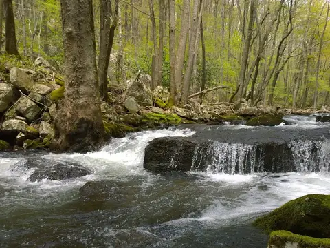Falls along the hike trail to Cascade falls in Pembroke, VA.