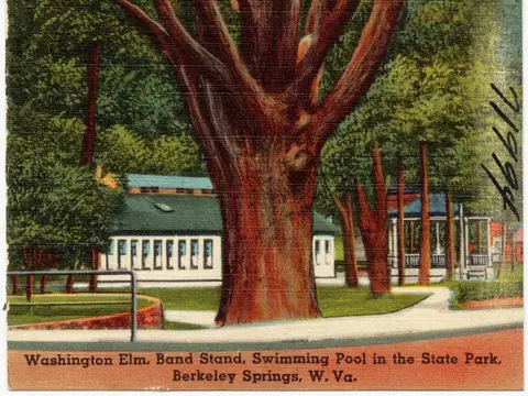 Title: Washington Elm, band stand, swimming pool in the state park, Berkeley Springs, W. Va. Subjects: Parks Places: West Virginia &gt; Morgan (county) &gt; Ber